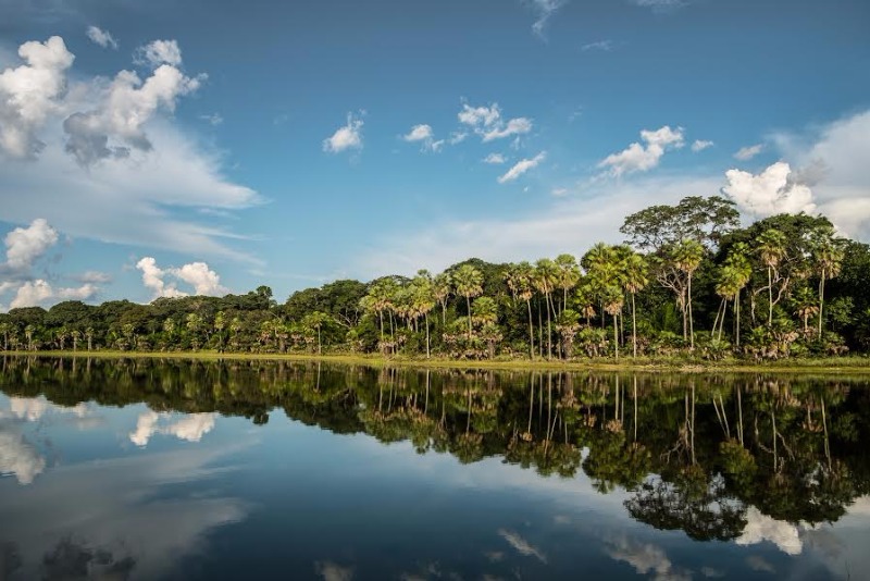 ABERTA AS INSCRIÇÕES PARA 61 BOLSAS DE PESQUISA NO PROJETO GEF TERRESTRE