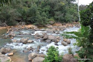 MONITORAMENTO AMBIENTAL NA BACIA DO RIO MANGARAÍ: ANALISANDO O IMPACTO NA QUALIDADE DA ÁGUA DO RIO SANTA MARIA DA VITÓRIA