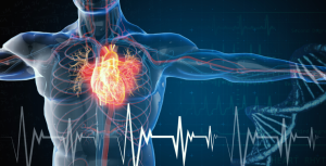 1005- Estudo CV-GENES revela o impacto do componente genético nas doenças cardiovasculares: uma nova fronteira na saúde brasileira
