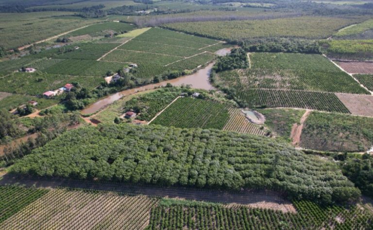 PROJETO AVALIA POBREZA MULTIDIMENSIONAL RURAL E ESTRATÉGIAS AGROECOLÓGICAS NO NORTE DO ESPÍRITO SANTO E SUL DA BAHIA