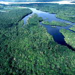 ABERTURA DE EDITAL PARA BOLSA DO PROGRAMA ÁREAS PROTEGIDAS DA AMAZÔNIA – ARPA