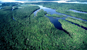 ABERTURA DE EDITAL PARA BOLSA DO PROGRAMA ÁREAS PROTEGIDAS DA AMAZÔNIA – ARPA