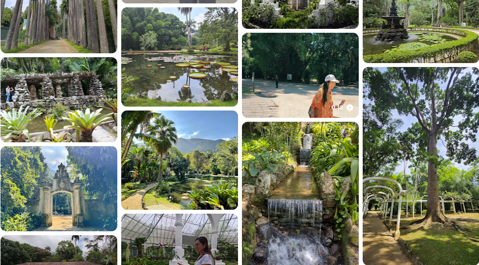 1130 -ABERTURA DE EDITAL PARA BOLSA DO PROGRAMA ÁREAS PROTEGIDAS DA AMAZÔNIA – ARPA