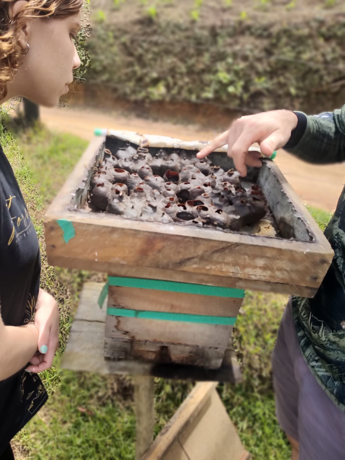 Venda Nova do Imigrante recebe evento “Conhecendo a Uruçu Capixaba”, com foco na preservação da abelha símbolo das montanhas do Espírito Santo