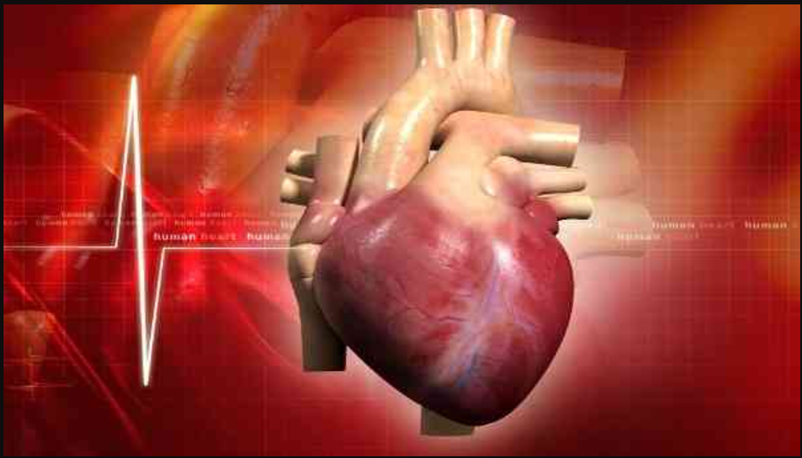 1053 Ufes e Hucam lideram ensaio clínico para controle de LDL-C em pacientes com doença cardiovascular