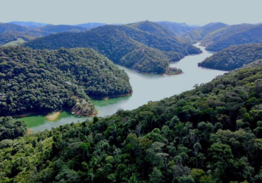 1178 Projeto da FUNBio – Rio Doce fauna e flora: instrumentação de Jardins Botânicos para ampliação da conservação ex situ de espécies ameaçadas de extinção na Mata Atlântica