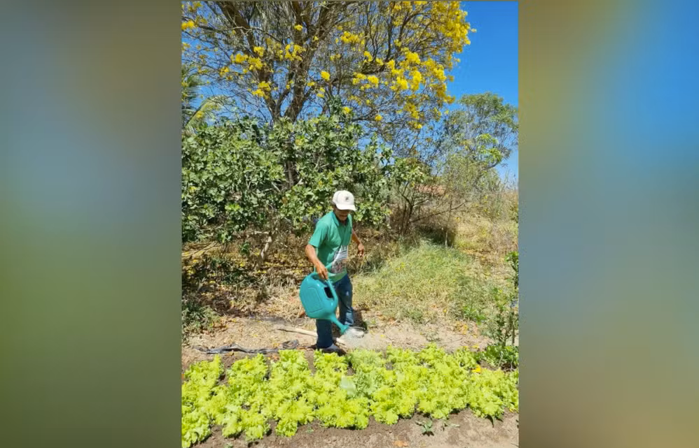 FEST é uma das oito instituições selecionadas pelo Google e Instituto Clima e Sociedade (iCS) para investir em soluções de sustentabilidade digital no Brasil