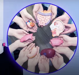 996- UFES e FEST desenvolvem novas técnicas de bioimpressão 4D para aplicações na área da saúde