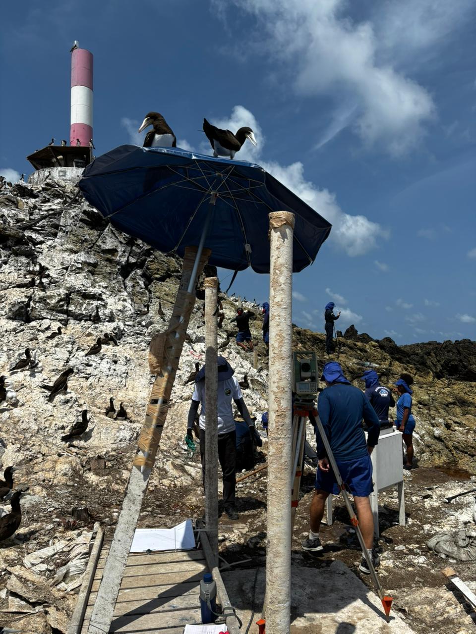 WhatsApp Image 2025-12-09 at 19.06.41