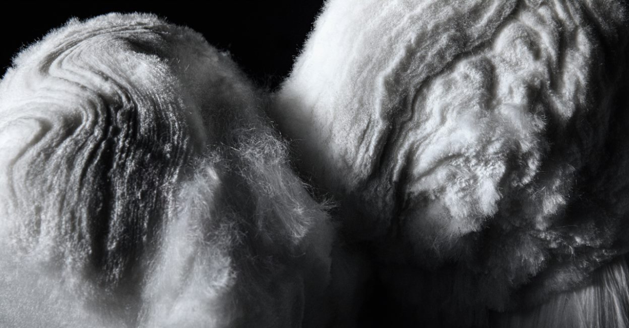 1299- UFES desenvolve projeto inovador para produção de fibras funcionais de celulose para a indústria têxtil