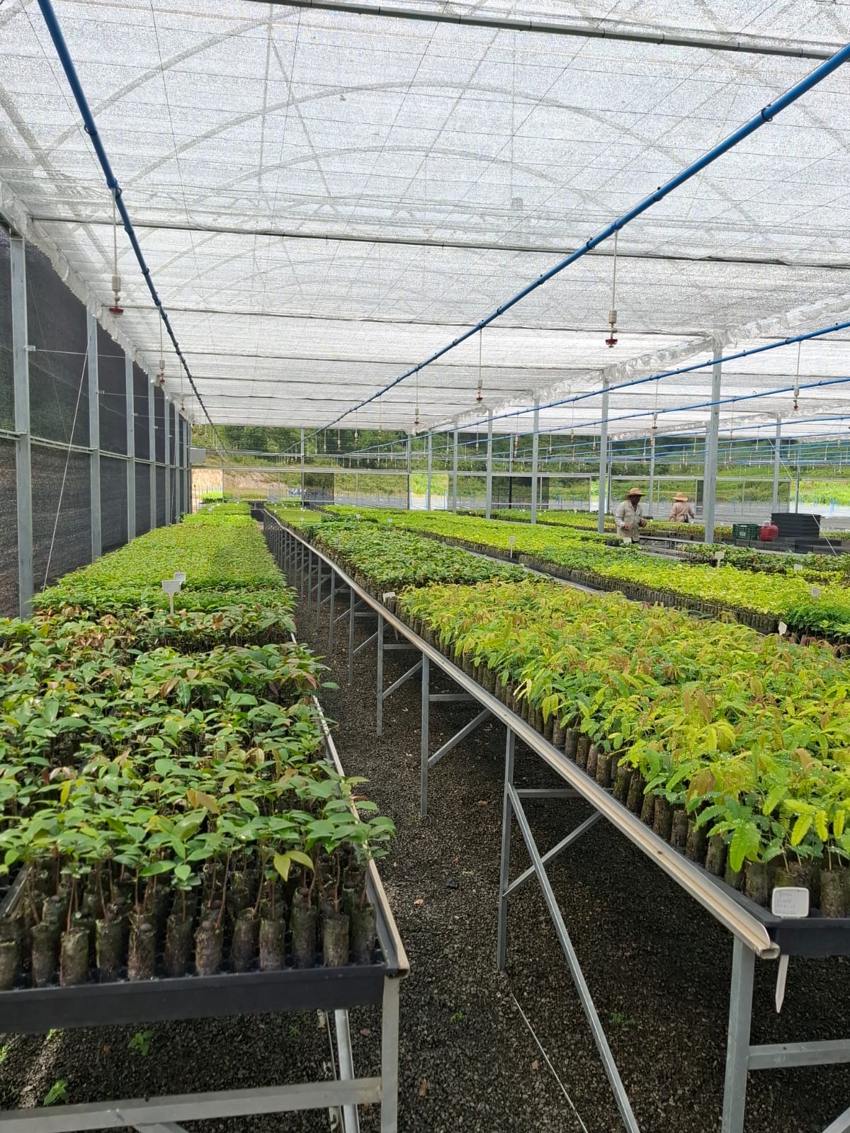 WhatsApp Image 2026-03-13 at 07.38.08